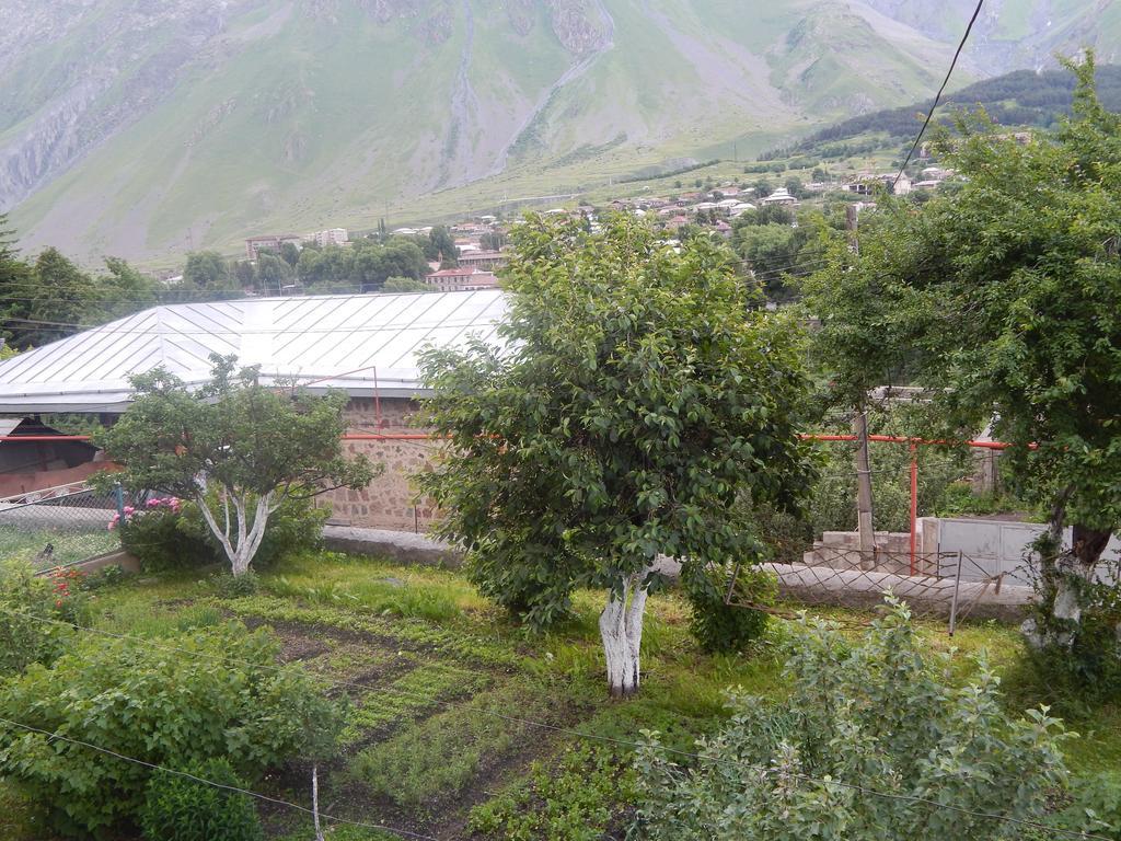 Ineza'S Guest House Kazbegi Εξωτερικό φωτογραφία