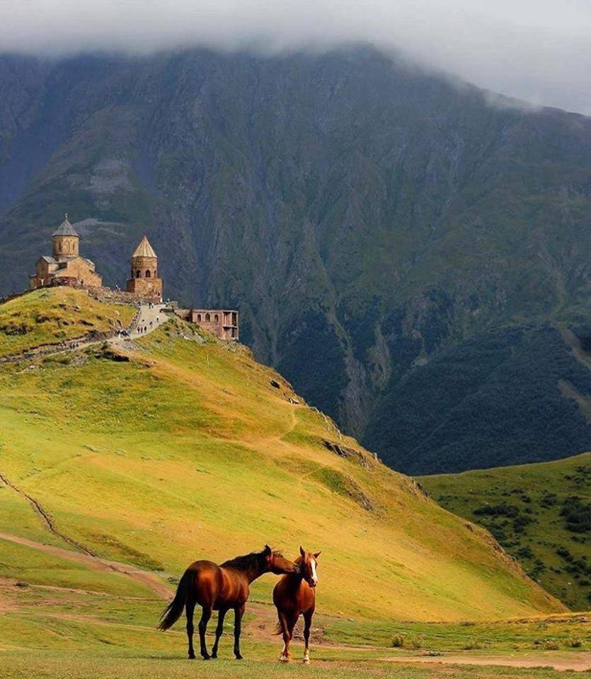 Ineza'S Guest House Kazbegi Εξωτερικό φωτογραφία